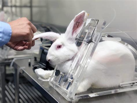 est ce que dior teste sur les animaux|dior animal testing ingredients.